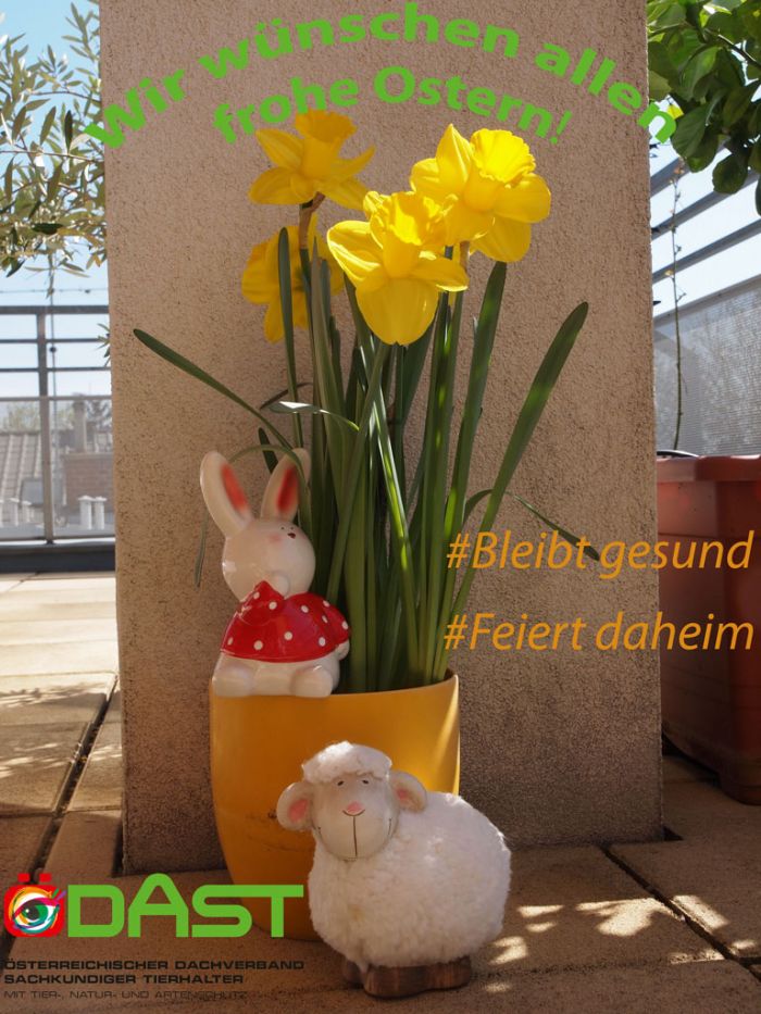 Ostergrüße vom ÖDAST Ostergrüße vom ÖDAST