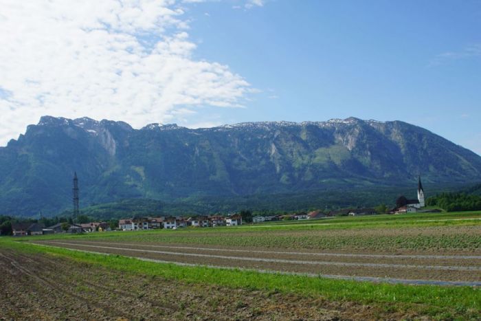Lebensraum der Kiebitze Lebensraum der Kiebitze