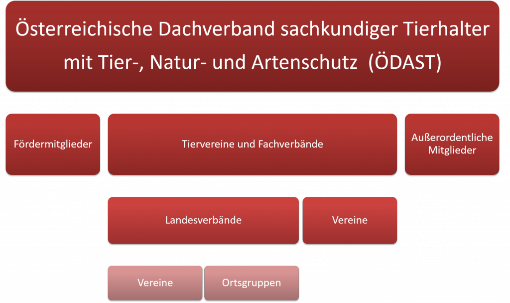 Organigramm des ÖDAST